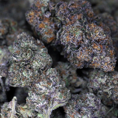 Kush Queen Hemp Flower Lemon Cherry Gelato THCa Flower