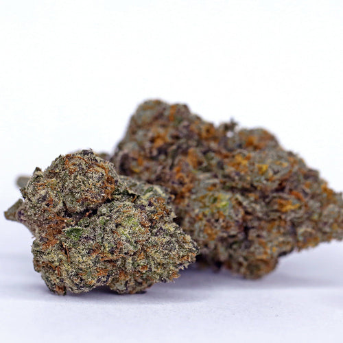 Kush Queen Hemp Flower Lemon Cherry Gelato THCa Flower