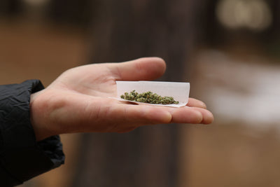 What Is THCV? The ‘Diet Weed’ Cannabinoid for Energy & Focus