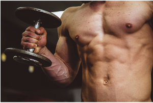 Top Herbs For Muscle Building: Guide to Healthy Bulking