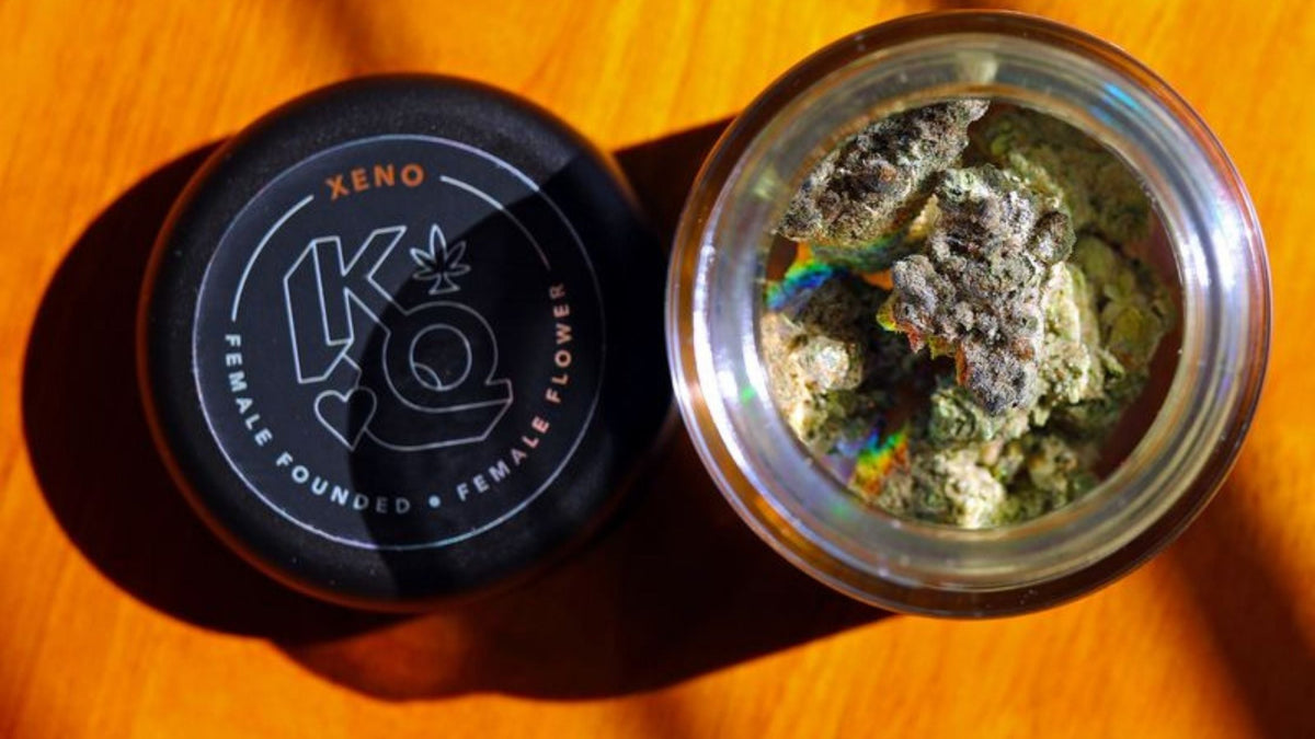 cbd in human system