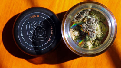 How Long Does CBD Stay in Your System
