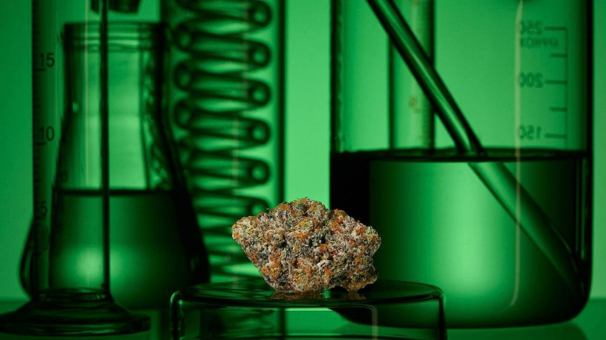 Extract CBD from hemp