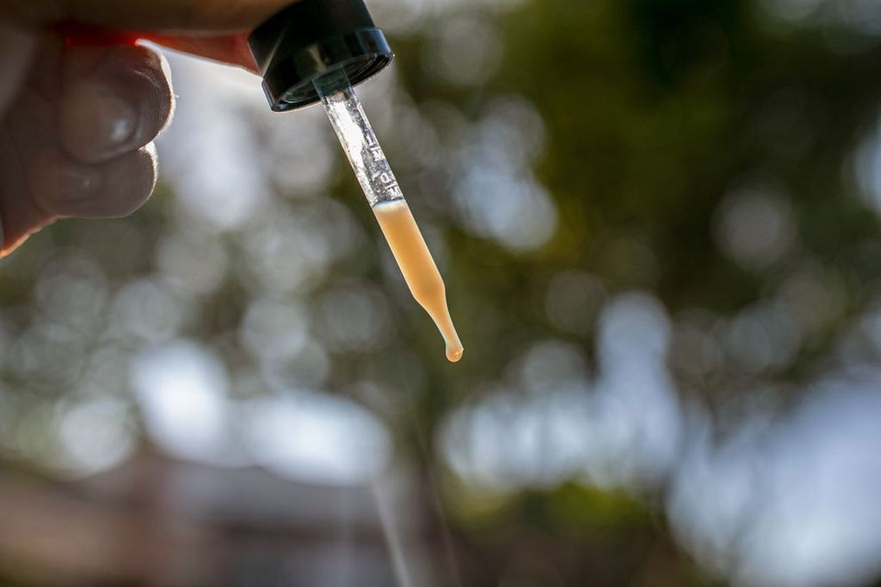 THC tincture drop