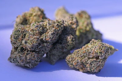 THCA Flower Strains Explained: Indica, Sativa & Hybrid