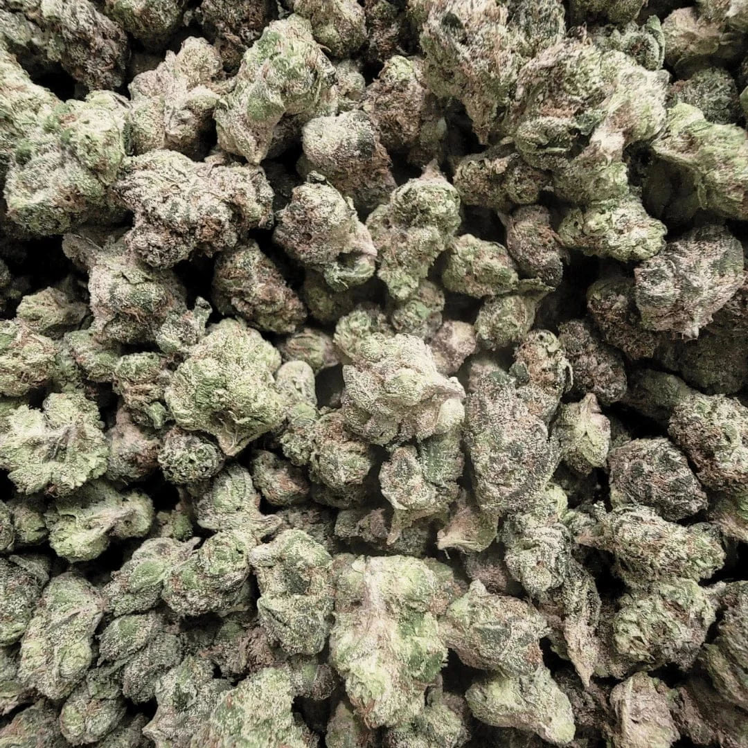 Lemon Cherry Gelato
