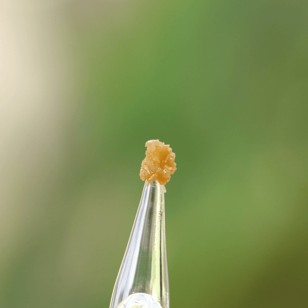 Kush Queen Hemp Flower 0.5g Live Rosin DabPipe