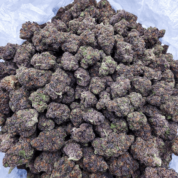 Kush Queen Hemp Flower *Exotic* AAA Grade Pink Runtz THCa Flower