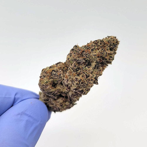 Kush Queen Hemp Flower *Exotic* Donny Burger THCa Flower