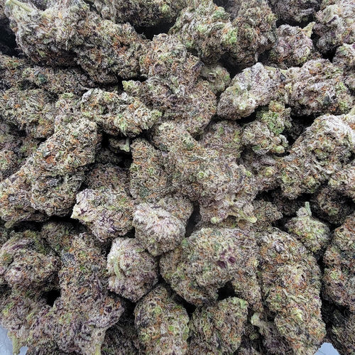 Kush Queen Hemp Flower *Exotic* Donny Burger THCa Flower