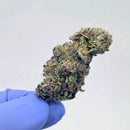 Kush Queen Hemp Flower *Exotic Smalls* RS 37 THCa Flower