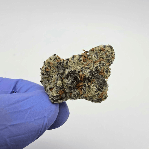 Kush Queen Hemp Flower *Exotic* Sunset Spice THCa Flower