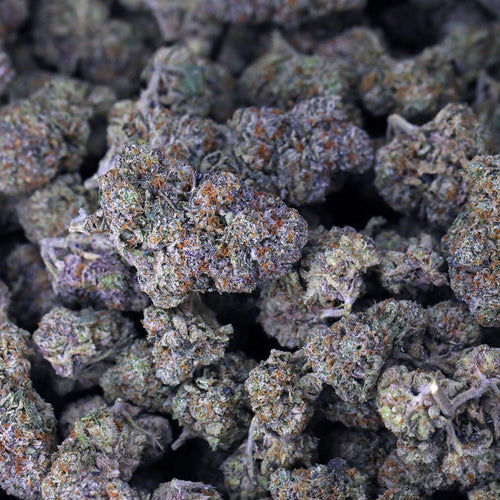 Kush Queen Hemp Flower Gelato 41 THCa Flower