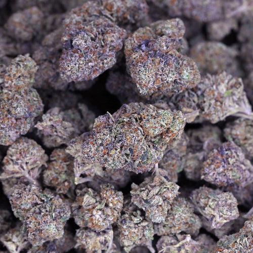 Kush Queen Hemp Flower Gelato 41 THCa Flower