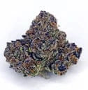 Kush Queen Hemp Flower Gelato 41 THCa Flower *Private Reserve*