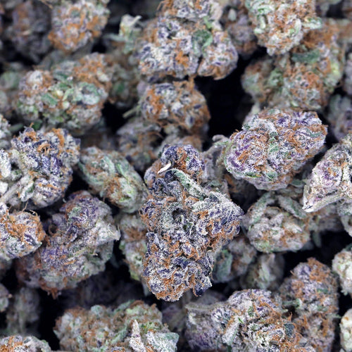 Kush Queen Hemp Flower Grape Ape THCa Flower *Private Reserve*