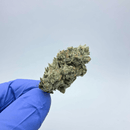 Kush Queen Hemp Flower *Headstash* Urbols Zuyaqui THCa Flower