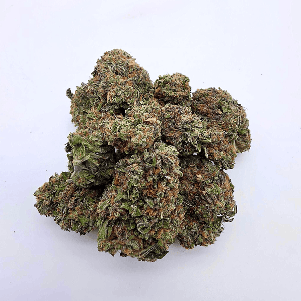 Kush Queen Hemp Flower *Private Reserve* AA Grade Gaslato THCa Flower