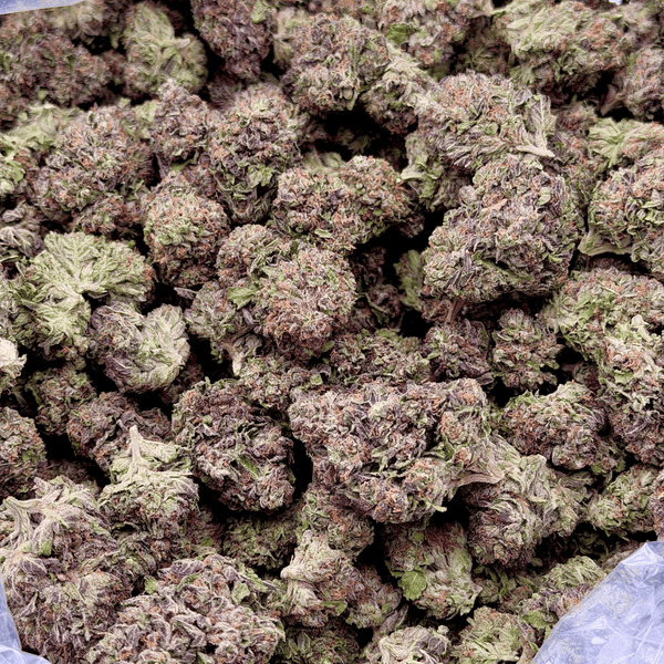 Kush Queen Hemp Flower *Private Reserve* AA Grade Gelato 41 THCa Flower