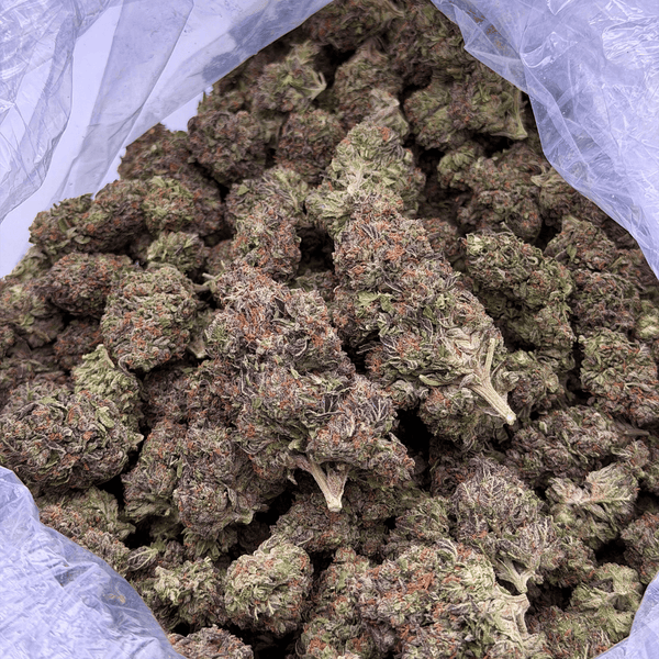 Kush Queen Hemp Flower *Private Reserve* AA Grade Lemon Cherry Gelato THCa Flower