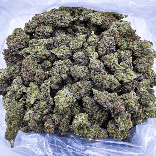Kush Queen Hemp Flower *Private Reserve* AA Grade Lemon Cherry Gelato THCa Flower