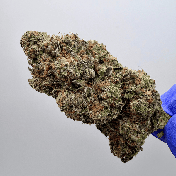 Kush Queen Hemp Flower *Private Reserve* AA Grade Zkittlez Mints THCa Flower