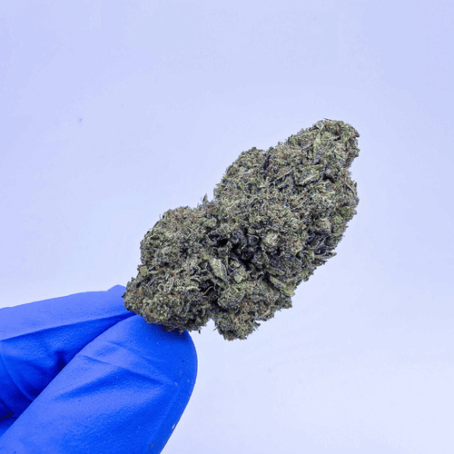 Kush Queen Hemp Flower *Private Reserve* AA Unicorn Runtz THCa Flower