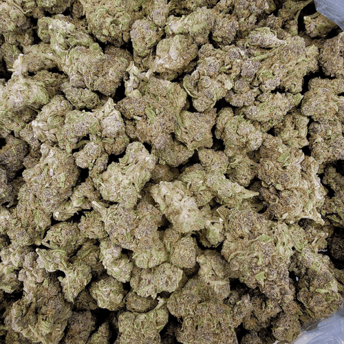 Kush Queen Hemp Flower *Private Reserve* Black Trop Cherry Cookies