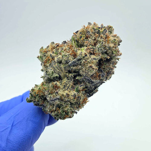 Kush Queen Hemp Flower *Private Reserve* Cookies and Cream THCA Flower