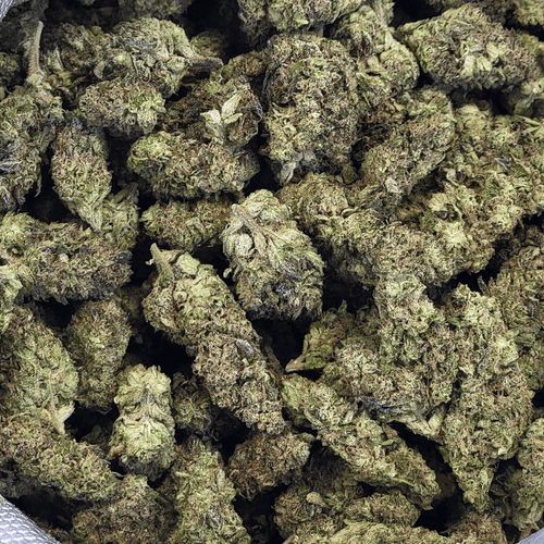 Kush Queen Hemp Flower *Private Reserve* Hashburger THCa Flower