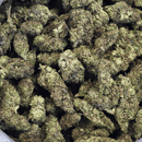 Kush Queen Hemp Flower *Private Reserve* Hashburger THCa Flower