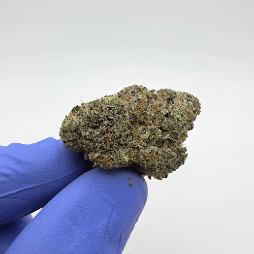 Kush Queen Hemp Flower *Private Reserve* Jelly Zonut THCa Flower