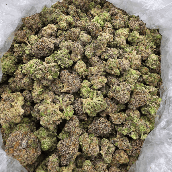 Kush Queen Hemp Flower *Private Reserve* LA Pop Rocks THCa Flower