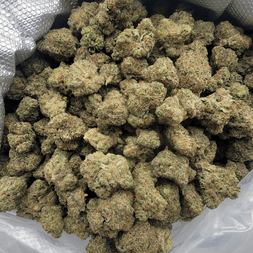 Kush Queen Hemp Flower *Private Reserve* Oreoz THCa Flower