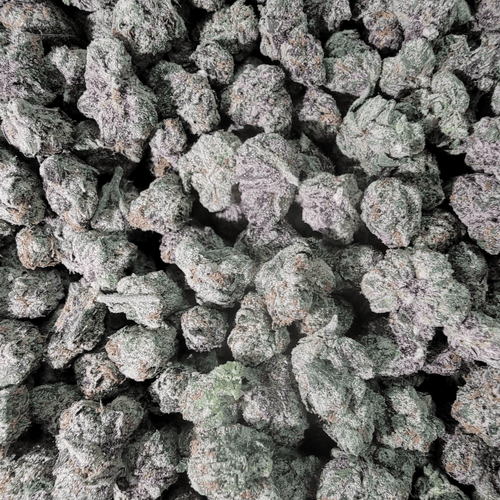 Kush Queen Hemp Flower *Smalls* Black Runtz THCa Flower