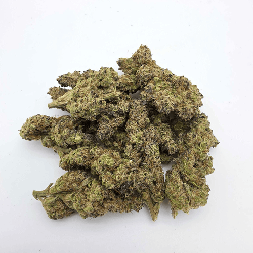 Kush Queen Hemp Flower *Top Shelf* Coup d'etat#1 THCa Flower