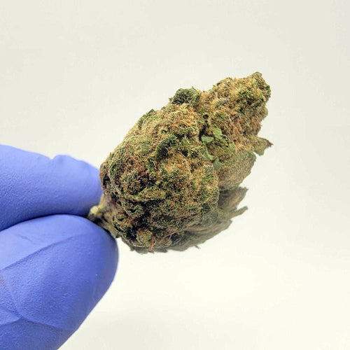 Kush Queen Hemp Flower *Top Shelf* Gorilla Funk THCa Flower