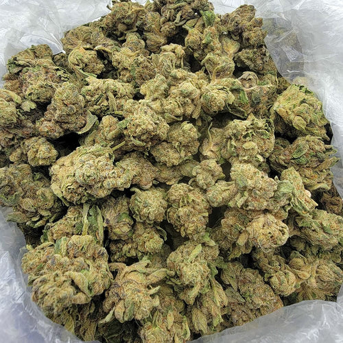 Kush Queen Hemp Flower *Top Shelf* Gorilla Funk THCa Flower