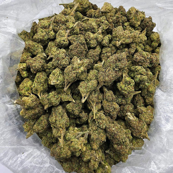 Kush Queen Hemp Flower *Top Shelf* Unicorn Runtz THCa Flower