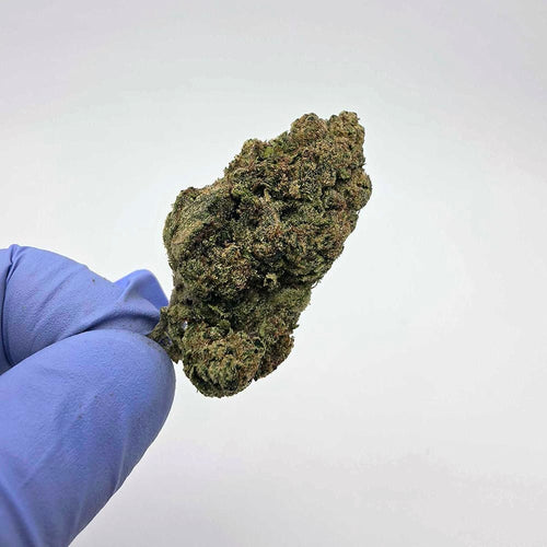 Kush Queen Hemp Flower *Top Shelf* Unicorn Runtz THCa Flower