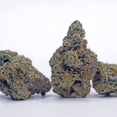 Kush Queen Hemp Flower White Runtz THCa Flower *Private Reserve*