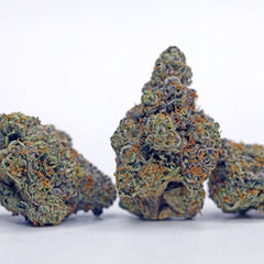 *Exotic* Pink Runtz THCa Flower