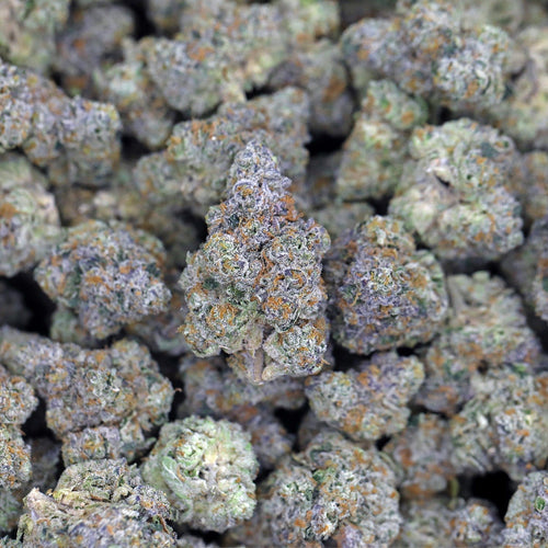 Kush Queen Hemp Flower White Runtz THCa Flower *Private Reserve*